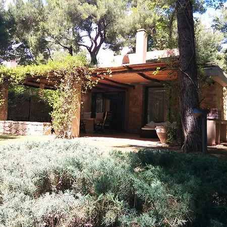 Sani Luxury Sani (Chalkidiki)