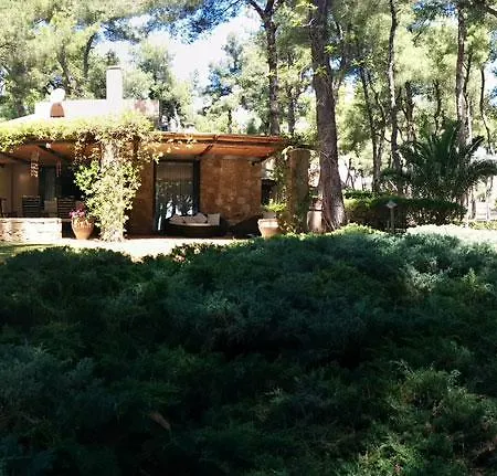 Sani Luxury Sani (Chalkidiki)