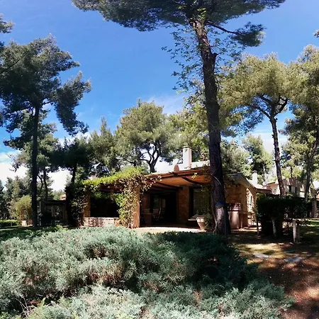 Sani Luxury * Sani (Chalkidiki)